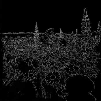 Video to Lineart / Canny - Before