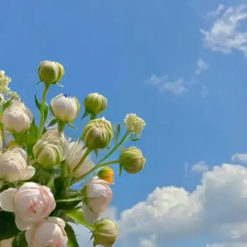 Wan 2.2 5B Fun Inpaint