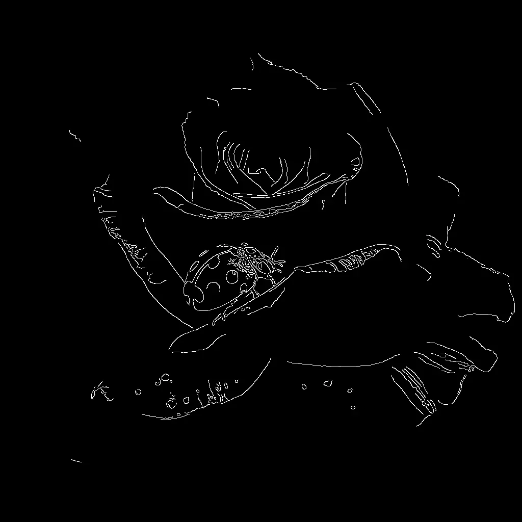 Flux.1 Canny Model - Before