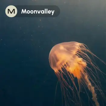 Moonvalley: Text to Video