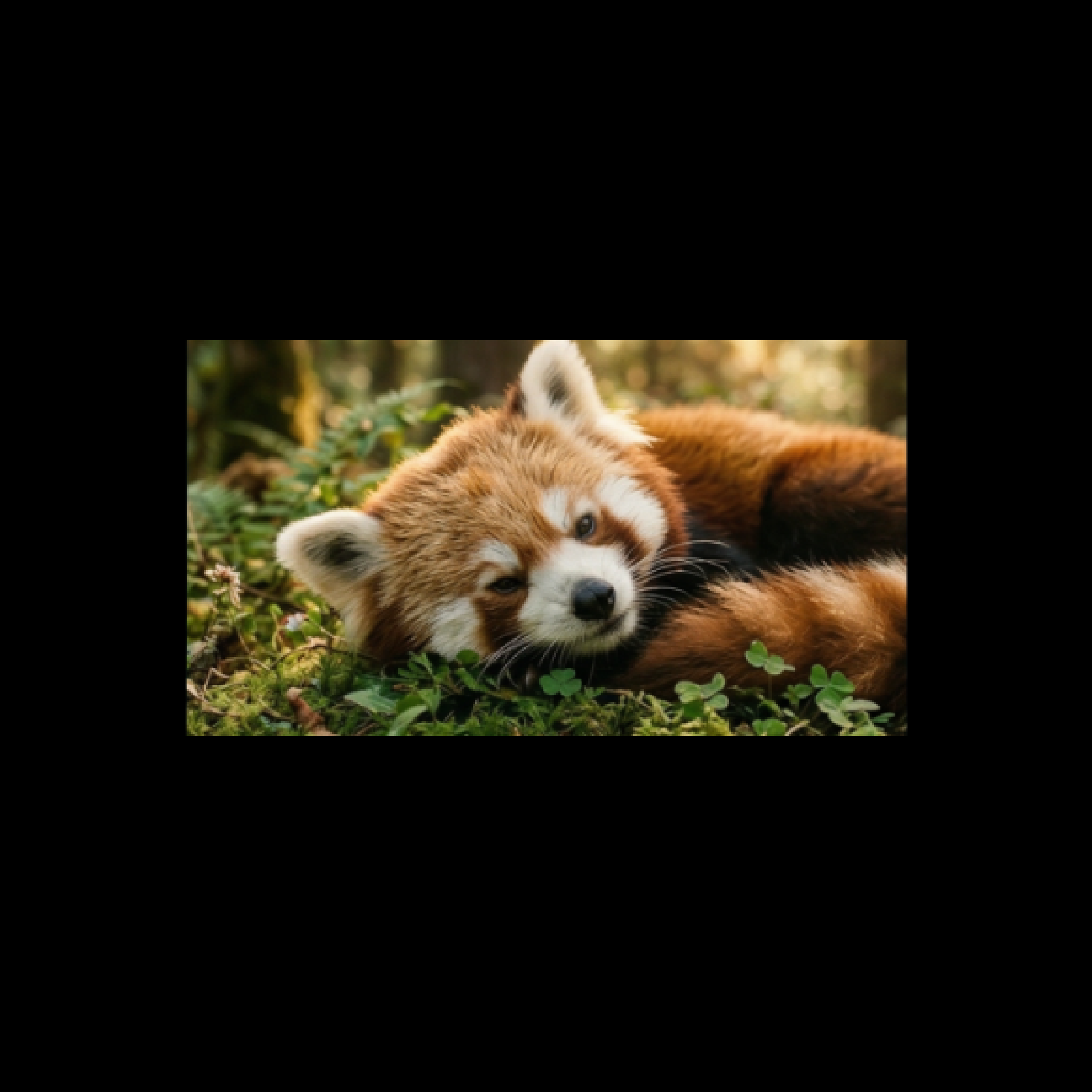 Flux.2 Klein 9B: Image Extend - After