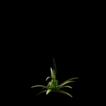 Video Restyle - After