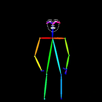 SDPose-OOD: Video to Pose Map - Before