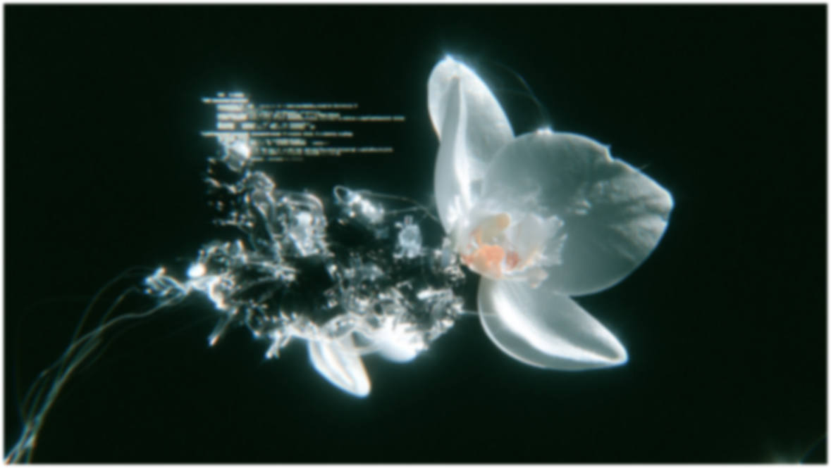 Topaz: Image Enhance Bloom 2 - After